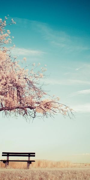 Winter Tree Mobile Wallpaper: A Tranquil Landscape for Your Device