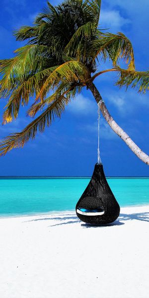 Phone wallpaper: Nature, Water, Sea, Beach, Sand, Horizon, Earth, Photography, Palm Tree free downlo