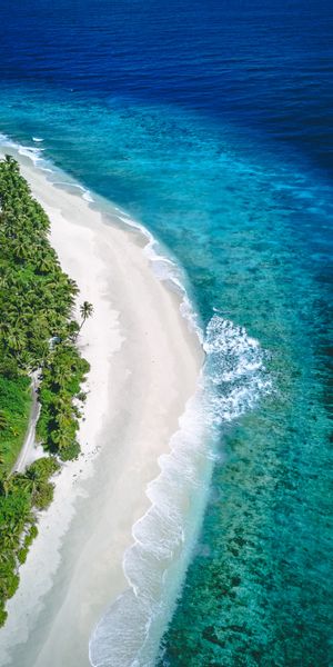 Aerial View of a Beautiful Beach and Clear Blue Sea