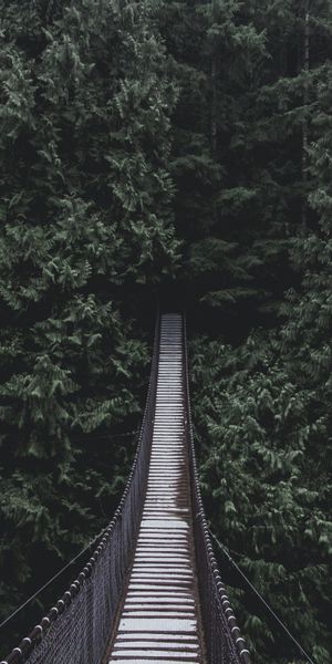 Phone wallpaper: Suspension, Hanging, Trees, Bridge, Nature free download