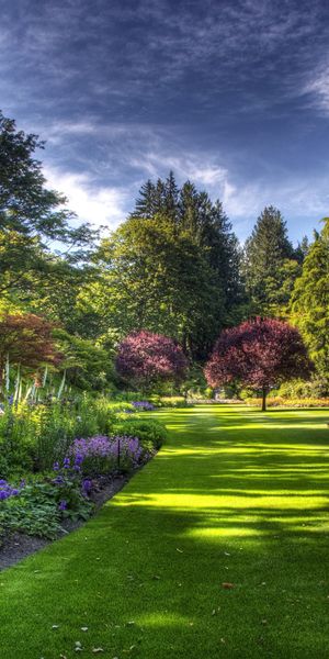 Lush Green Garden with Vibrant Trees and Clear Sky