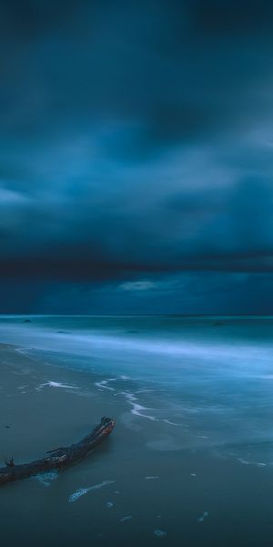 Phone wallpaper: Sunset, Sky, Sea, Beach, Horizon, Ocean, Earth, Cloud, Driftwood free download