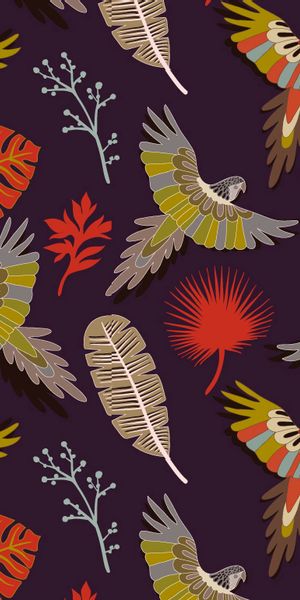 Phone wallpaper: Motley, Multicolored, Texture, Feather, Pattern, Birds, Parrots, Textures, Vector f