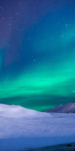 Aurora Borealis Illuminating a Winter Wonderland