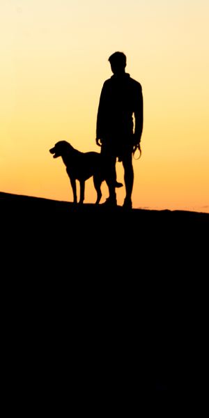 Silhouette of a Person and Dog on a Hill at Sunset