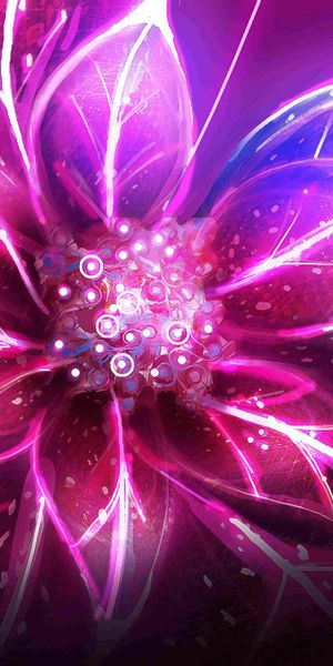 Captivating Floral Phone Wallpaper Featuring Intricate Pink Flower Design