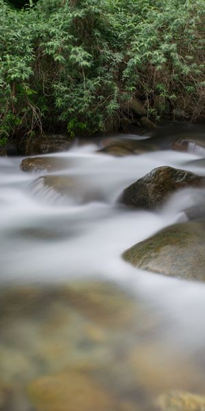 Tranquil phone wallpaper featuring fog, stones, and a gentle stream
