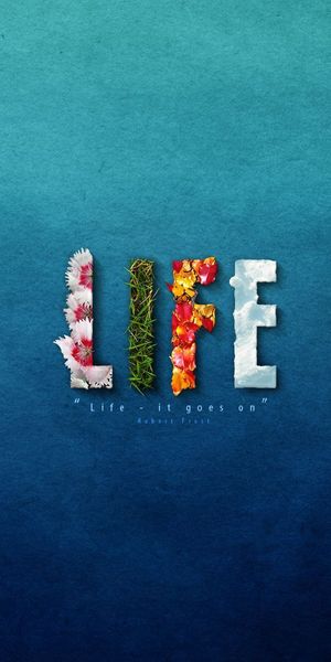 Colorful 'Life' Wallpaper Featuring Beautiful Flowers