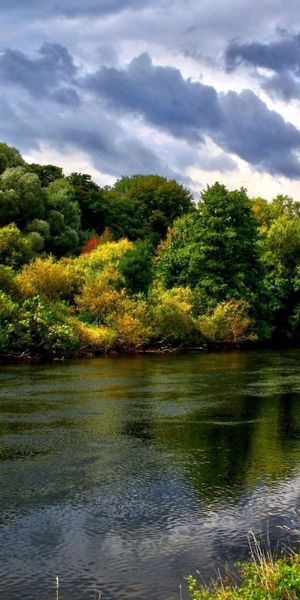Phone wallpaper: Trees, Greens, Summer, Nature, Rivers free download