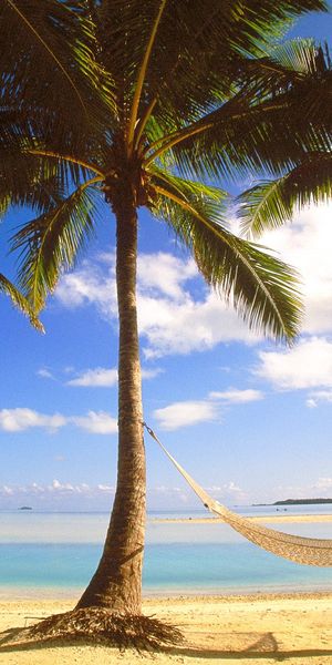 Phone wallpaper: Beach, Photography, Hammock, Palm Tree free download