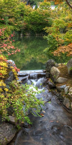 Breathtaking Autumn in Kyoto's Harmony Garden