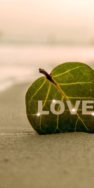 Artistic Love Leaves on the Beach for Mobile Wallpaper