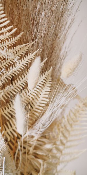 Phone wallpaper: Spikelets, Cones, Dry, Flowers, Leaves, Bouquet free download
