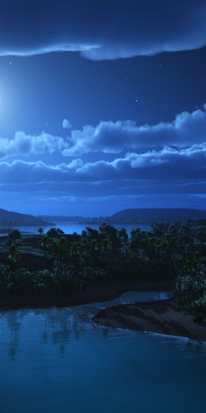 Moonlit River Landscape with Palm Trees and Stars