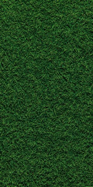 Vibrant Green Grass Field Mobile Wallpaper