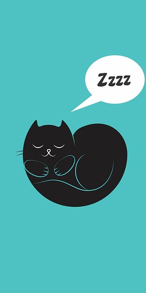 Phone wallpaper: Dream, Sleep, Cat, Art, Vector free download