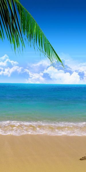 Tropical Beach Scene with Palm Tree and Heart in the Sand