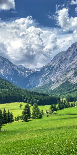 Mountain Valley with Lush Greenery