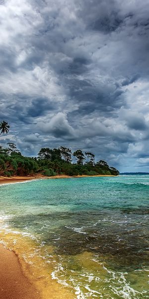 Phone wallpaper: Sky, Sea, Beach, Ocean, Earth, Tropical, Cloud, Palm Tree free download