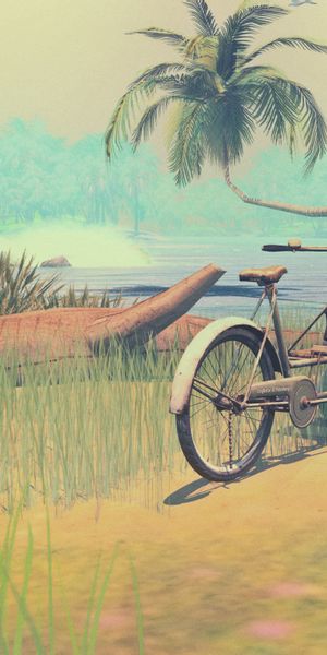 Serene Lagoon Beach with Bicycle and Palm Trees - 4K Mobile Wallpaper