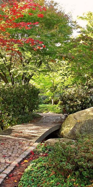 Serene Autumn Garden Pathway - Perfect iPhone Wallpaper for Nature Lovers