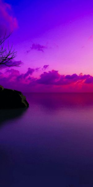 Majestic Purple Sunset with Tree and Clouds on the Horizon