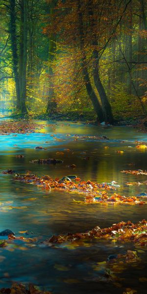 River Scene with Sunbeams in a Colorful Autumn Forest