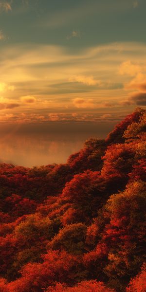 Breathtaking autumn sunset wallpaper featuring earthy tones and vibrant foliage