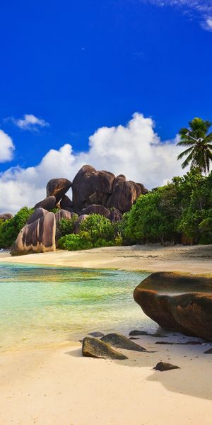 Tropical Seychelles Beach with Palm Trees and Crystal Clear Waters
