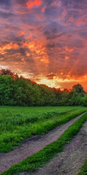 Phone wallpaper: Sunset, Earth, Path free download