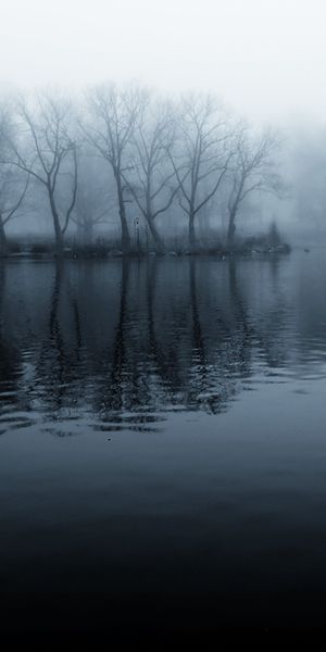 Serene 4K iPhone Wallpaper: Misty Lake with Trees and Reflection