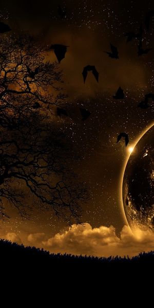 Enchanting Night Landscape Featuring a Majestic Moon and Flying Birds