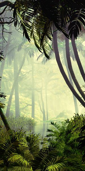 Lush Jungle Wallpaper with Trees and Fog for Your Mobile
