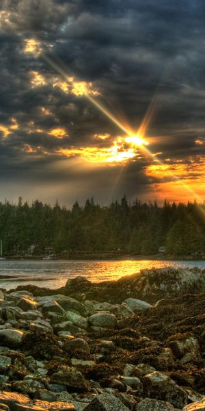 Breathtaking Sunset Over Water Surrounded by Forest