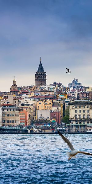 Breathtaking Istanbul skyline with seagulls, ideal 4K iPhone wallpaper