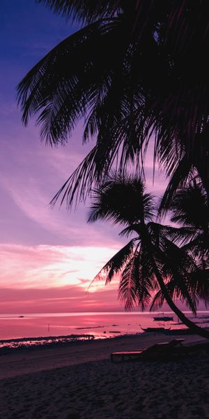 Tropical Beach Sunset Wallpaper: A Serene Shoreline with Palms and Nature