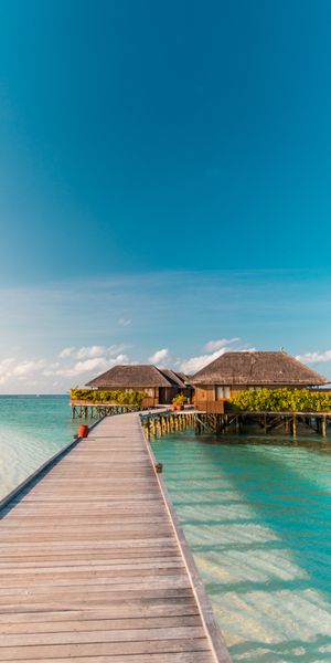 Phone wallpaper: Tropics, Pier, Bungalow, Nature, Summer, Sea free download