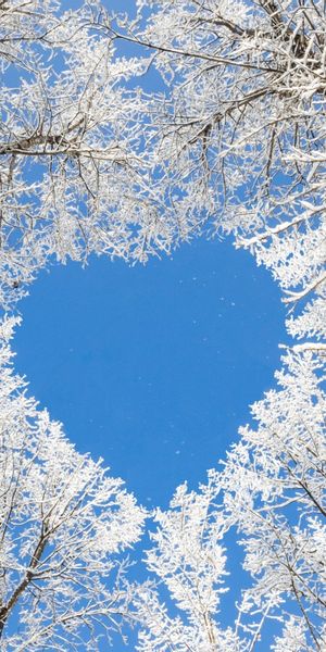Phone wallpaper: Trees, Tree, Heart, Earth free download