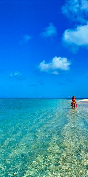 Tropical Beach Phone Wallpaper: Clear Blue Sea and Summer Horizon
