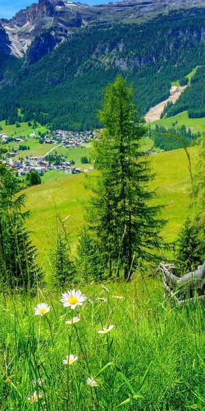 Breathtaking Spring Mountain Landscape iPhone Wallpaper for Nature Lovers