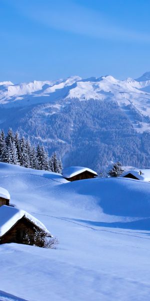 Winter Countryside with Snow-Covered Mountains