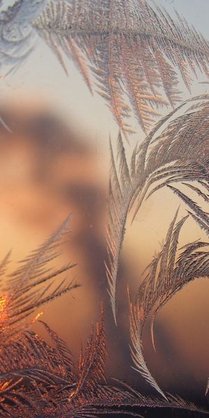 Beautiful Frosty Sunset Through Ice-Covered Glass