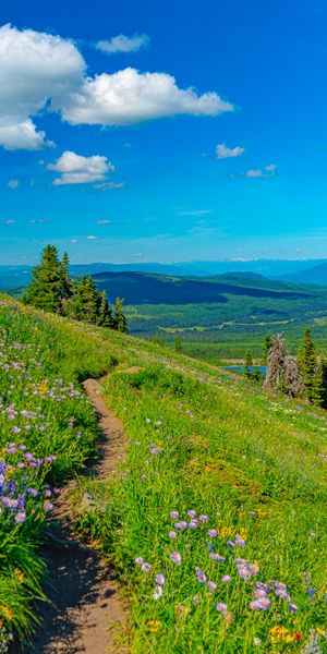 Explore Nature's Beauty: Mountain Landscape Phone Wallpaper with Path and Flowers