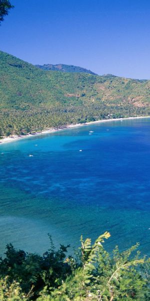 Coastal Landscape with Blue Waters and Lush Greenery
