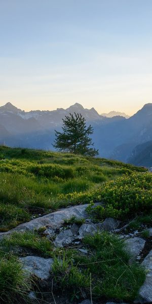 Free Wallpaper of Swiss Alps at Sunrise - Majestic Mountain Landscape