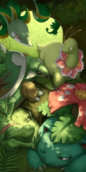 Epic Pokémon Battle Featuring Blastoise, Venusaur & Charizard
