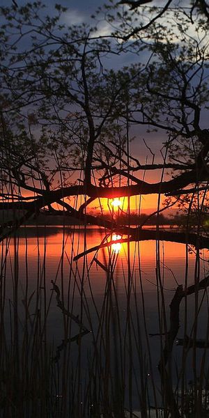 Breathtaking Sunset Reflection on a Calm Lake Surrounded by Trees