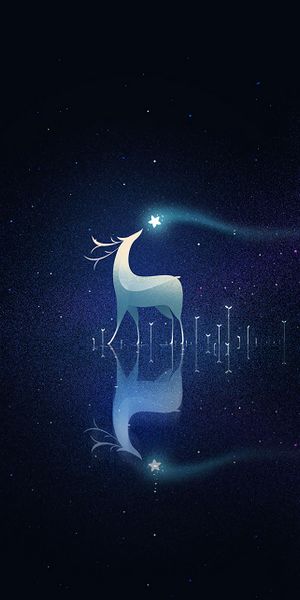 Beautiful Deer Reflection in a Starry Sky