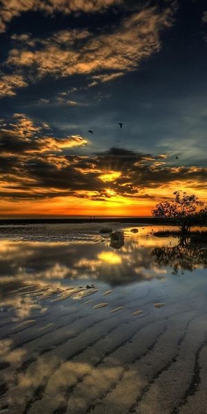 Breathtaking Sunset Reflection Over Water in Nature