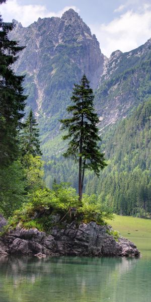 Breathtaking Mountain Lake Surrounded by Lush Forests
